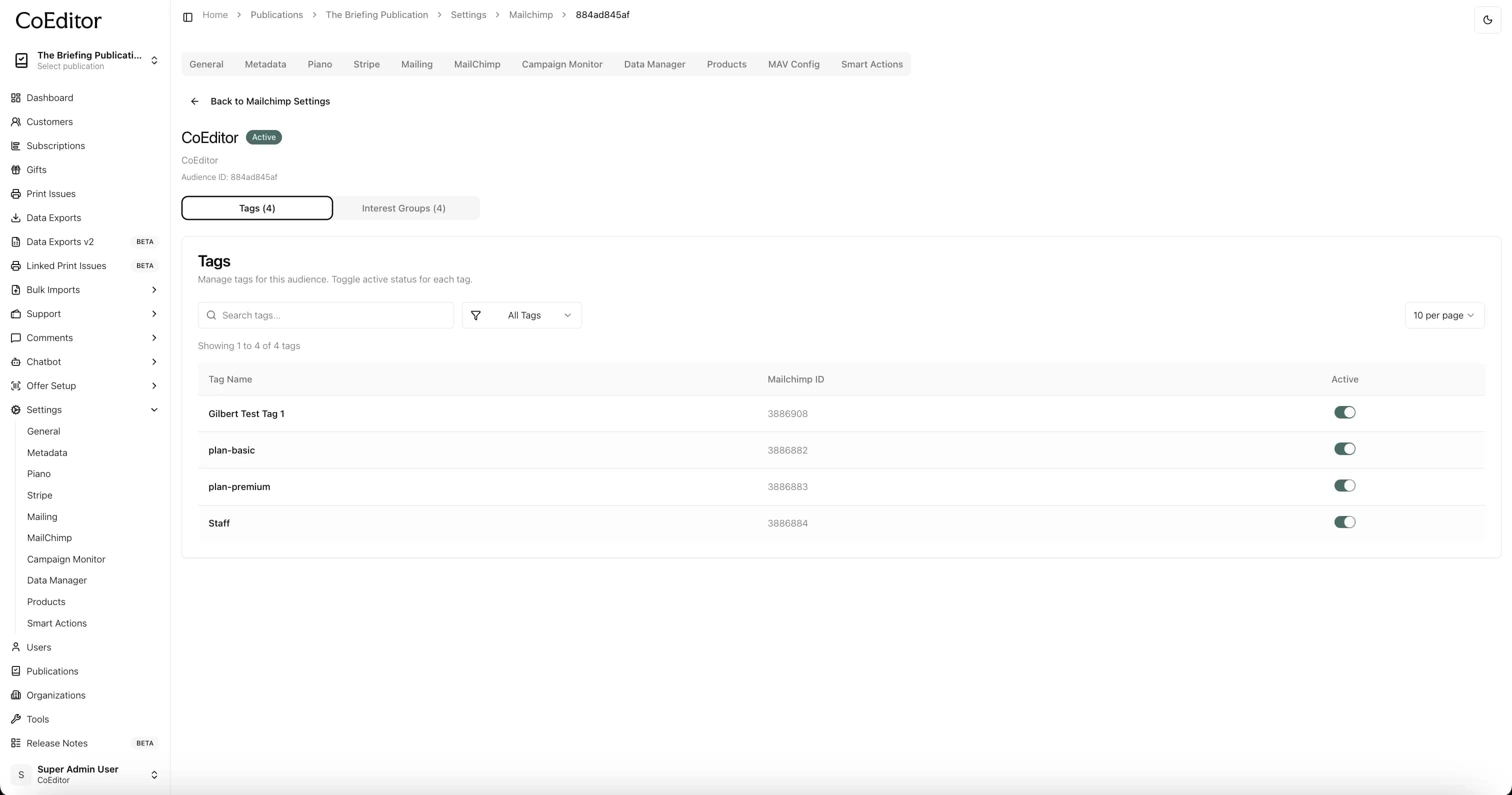 Activate tags for an audience